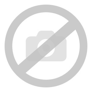 TERMOMETR EWWEL MM380
