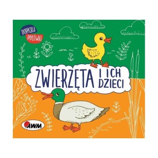 Dopasuj połówki zwierzęta AWM WYDAWNICTWO