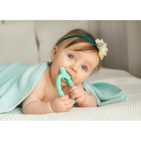 Gryzak sensor. kwiatek miętowy GILIGUMS