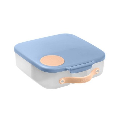 Lunchbox feeling peachy BBOX