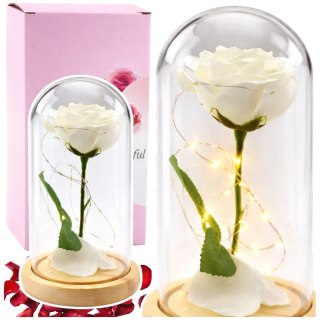 Wieczna Róża W Szkle Kopuła Oświetlenie LED Biała 21x11cm