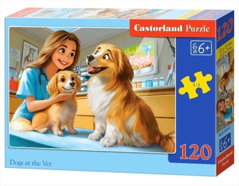 PUZZLE 120EL. DOGS AT THE VET