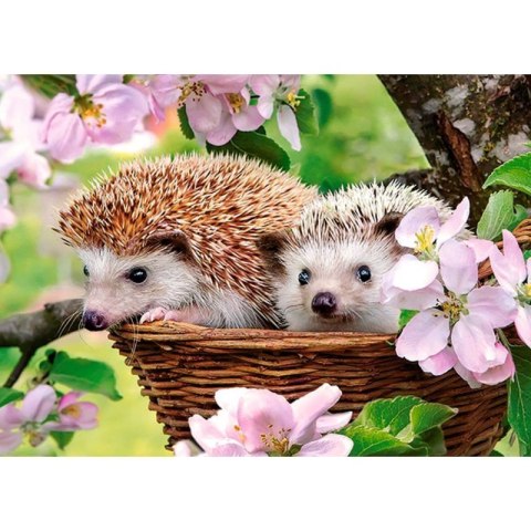 Puzzle 120el. springtime CASTOR