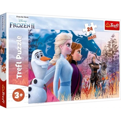 Puzzle 24 maxi magiczna wypraw TREFL