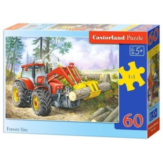 Puzzle 60el. forest site CASTOR