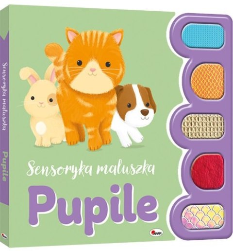 SENSORYKA MALULSZKA PUPILE