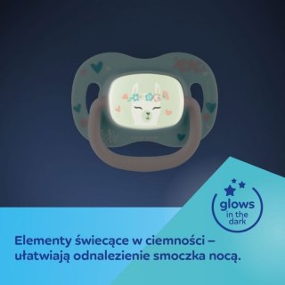 Smoczek sil. sym. 0-6m koala CANPOL BABIES