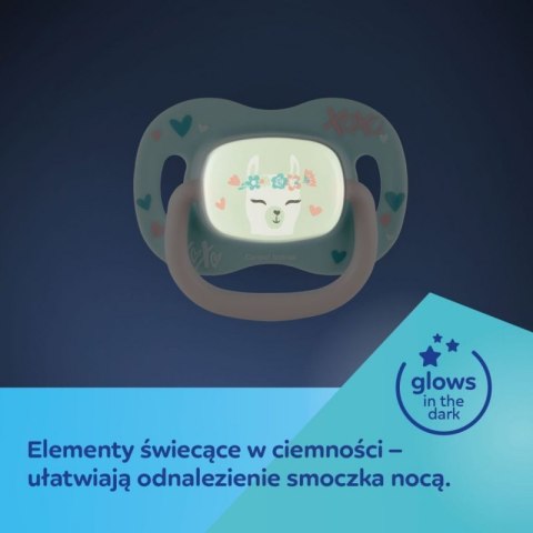 Smoczek sil. sym. 0-6m koala CANPOL BABIES