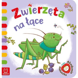 Zwierzęta na łące AKSJOMAT