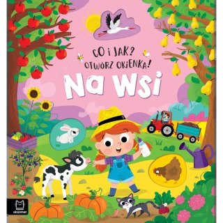 CO I JAK OTWÓRZ OKIENKA NA WSI