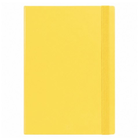 Teczka Skrzydłowa Na Dokumenty Z Gumką Twarda Biurowa Żółta A4/4,5 cm