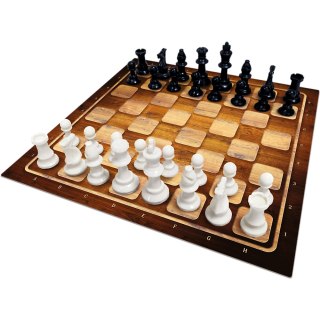 Gra klasyczna Szachy plastikowe Trefl 02893